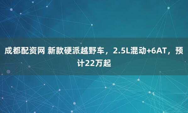 成都配资网 新款硬派越野车，2.5L混动+6AT，预计22万起