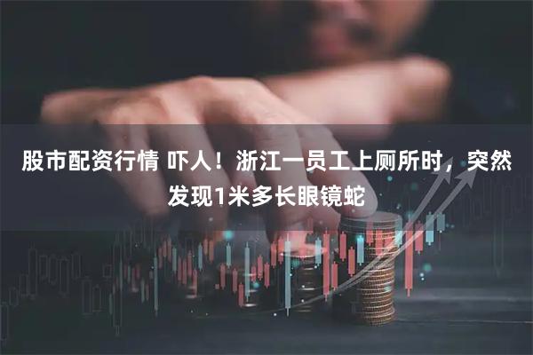 股市配资行情 吓人！浙江一员工上厕所时，突然发现1米多长眼镜蛇