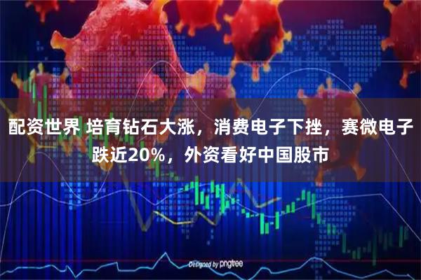 配资世界 培育钻石大涨，消费电子下挫，赛微电子跌近20%，外资看好中国股市